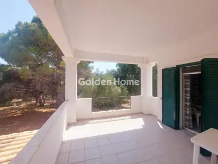 Residence complex 340m<sup>2</sup> for sale photo 6