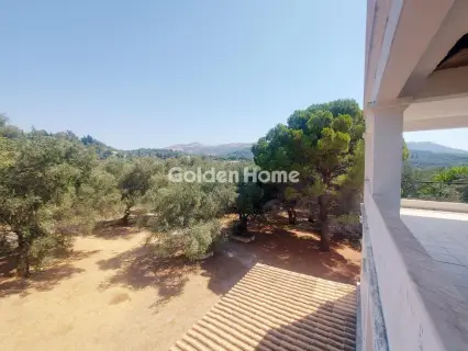 Residence complex 340m<sup>2</sup> for sale photo 19