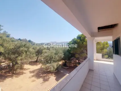 Residence complex 340m<sup>2</sup> for sale photo 21