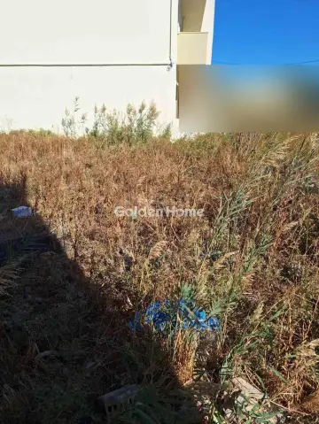 住宅 164m<sup>2</sup> for sale photo 5395378