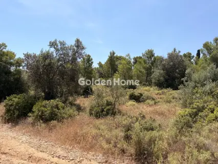 Residential 2035m<sup>2</sup> for sale photo 5491300