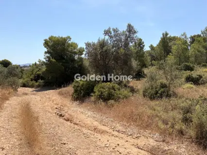 Residential 2035m<sup>2</sup> for sale photo 5491301