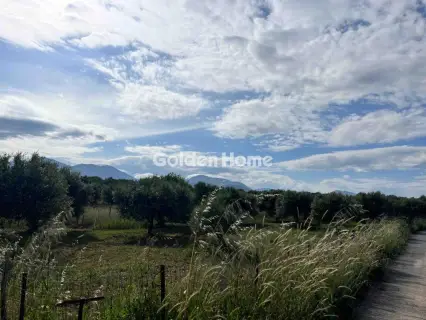 Residential 4500m<sup>2</sup> for sale photo 2