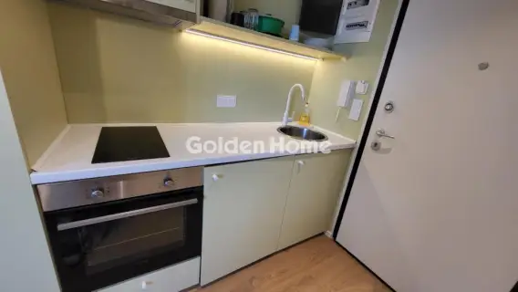 Studio 31m<sup>2</sup> for rent photo 5