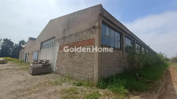 Industrial 1000m<sup>2</sup> for rent photo 18