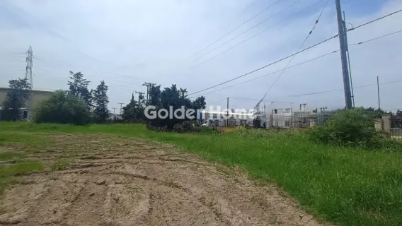 Industrial 1000m<sup>2</sup> for rent photo 23