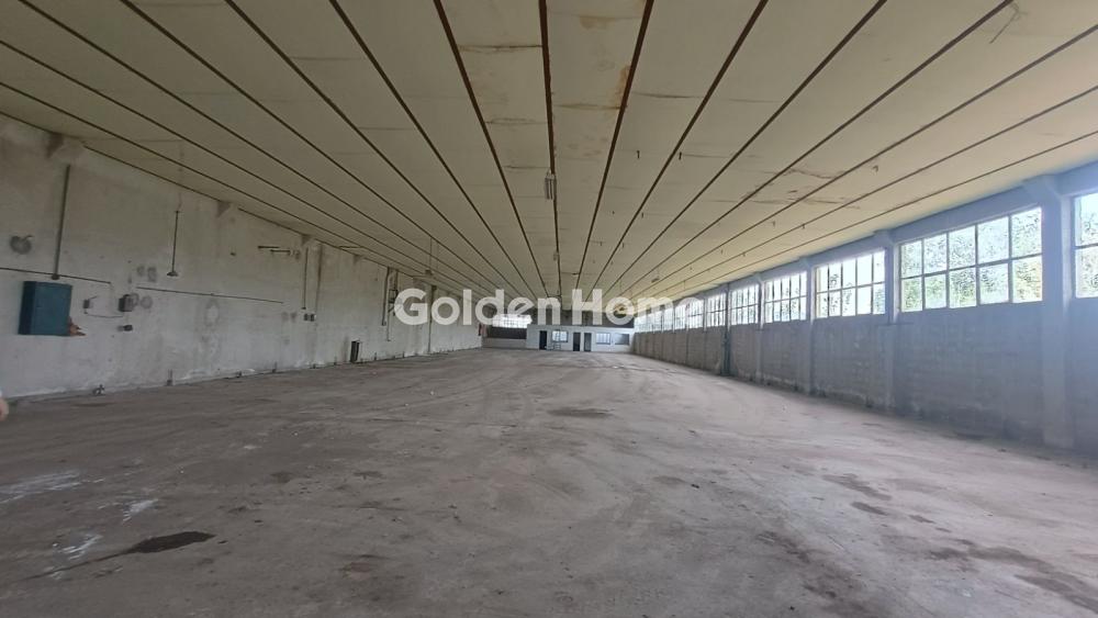 Industrial 1000m<sup>2</sup> for rent display photo