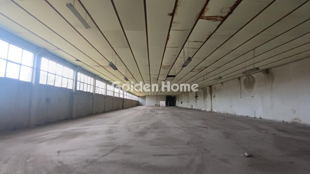 Industrial 1000m<sup>2</sup> for rent display photo