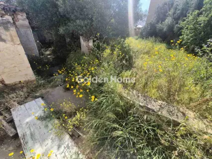 Residential 1200m<sup>2</sup> for sale photo 2