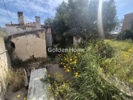 Residential 1200m<sup>2</sup> for sale photo 3