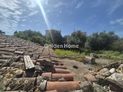 Residential 1200m<sup>2</sup> for sale photo 5