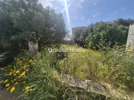 Residential 1200m<sup>2</sup> for sale photo 6