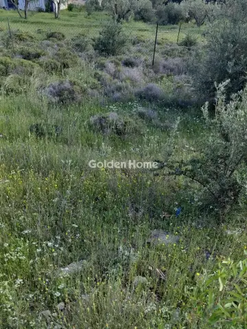 Residential 550m<sup>2</sup> for sale photo 5384350