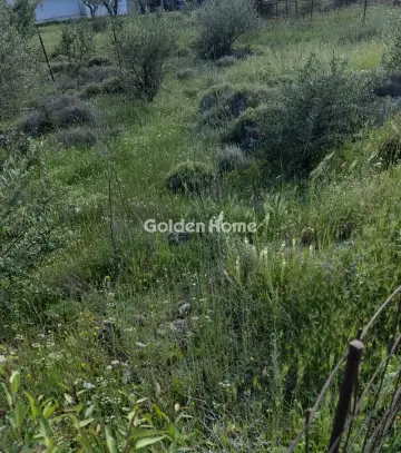 Residential 550m<sup>2</sup> for sale photo 5384351