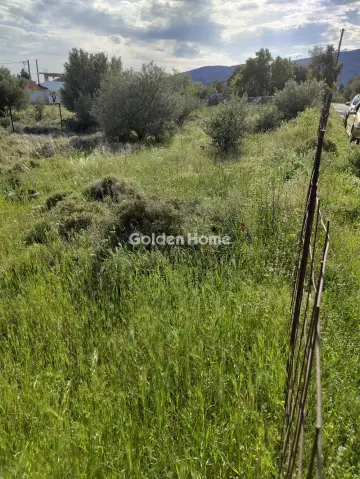 Residential 550m<sup>2</sup> for sale photo 5384352