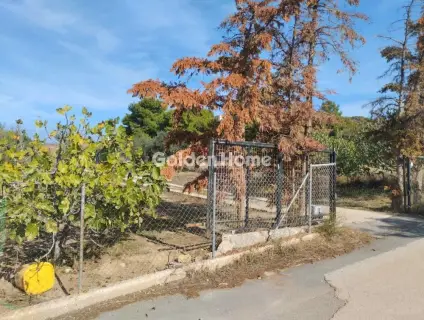 House 40m<sup>2</sup> for sale photo 5386982