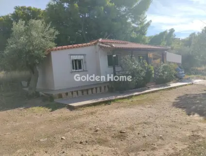 House 40m<sup>2</sup> for sale photo 5386978