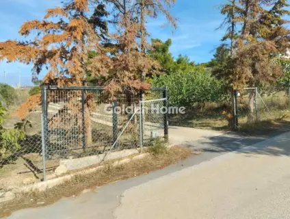 House 40m<sup>2</sup> for sale photo 5386980