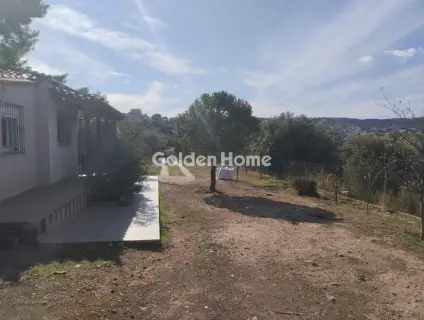 House 40m<sup>2</sup> for sale photo 5386987