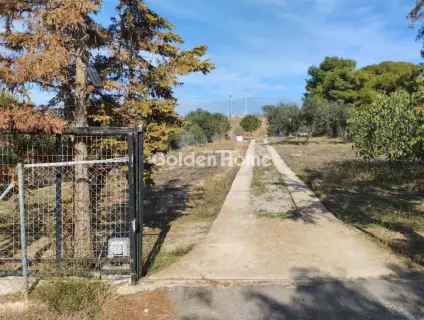 House 40m<sup>2</sup> for sale photo 5386984