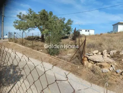 House 40m<sup>2</sup> for sale photo 5386991