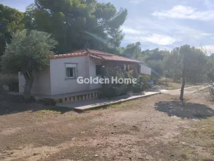 House 40m<sup>2</sup> for sale photo 5386983