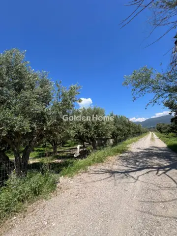 House 75m<sup>2</sup> for sale photo 5423411