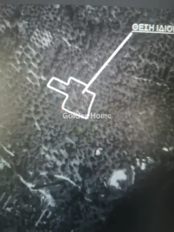 土地 4319m<sup>2</sup> for sale photo 1