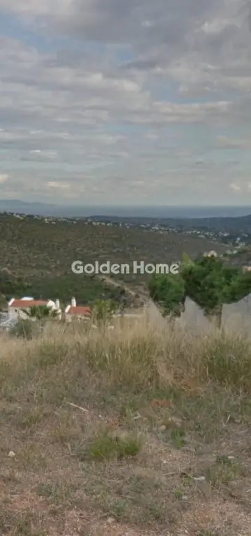 Residential 1305m<sup>2</sup> for sale photo 1