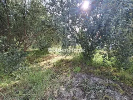 Residential 267m<sup>2</sup> for sale photo 9