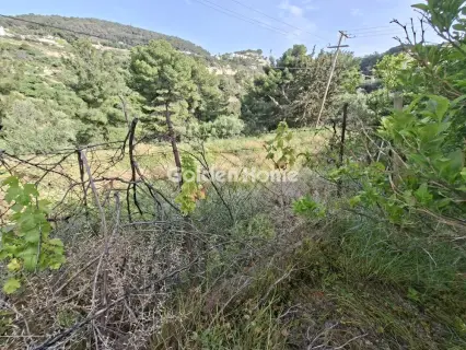 Residential 267m<sup>2</sup> for sale photo 12
