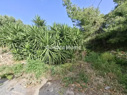 Residential 267m<sup>2</sup> for sale photo 22