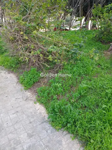 Professional Plot 250m<sup>2</sup> for sale photo 1