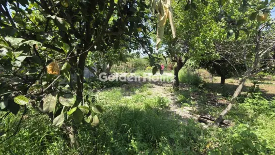 Residential 174m<sup>2</sup> for sale photo 5385969