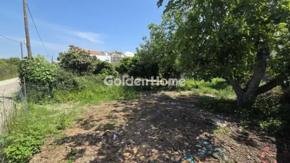 Residential 174m<sup>2</sup> for sale photo 5385971