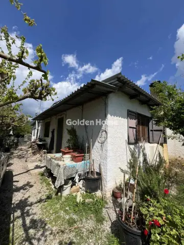 土地 11800m<sup>2</sup> for sale photo 5392083