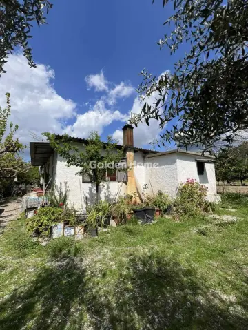 Αγροτεμάχιο 11800τ.μ. προς πώληση φωτογραφία 5392083