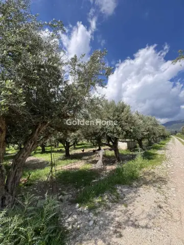 Αγροτεμάχιο 11800τ.μ. προς πώληση φωτογραφία 5392083