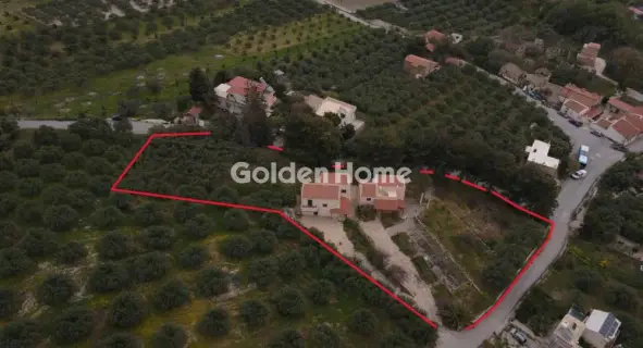 Συγκρ. Κατοικιών 270τ.μ. προς πώληση φωτογραφία 3