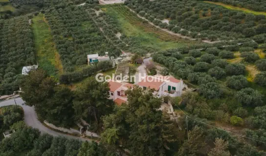 Συγκρ. Κατοικιών 270τ.μ. προς πώληση φωτογραφία 92