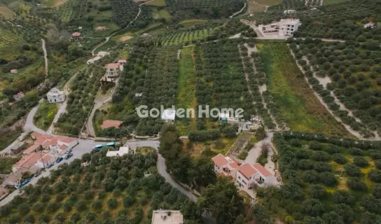 复合住宅 270m<sup>2</sup> for sale photo 93