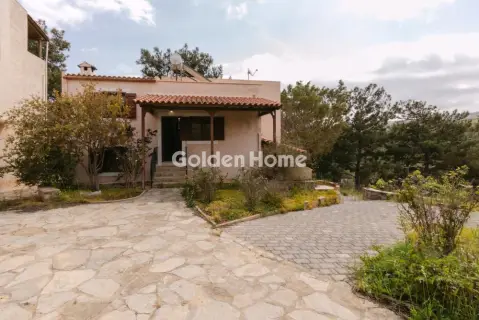 复合住宅 270m<sup>2</sup> for sale photo 95