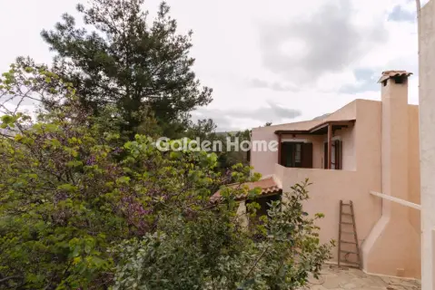 复合住宅 270m<sup>2</sup> for sale photo 97