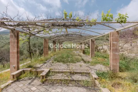 复合住宅 270m<sup>2</sup> for sale photo 46