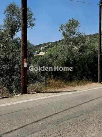 Professional Plot 486m<sup>2</sup> for sale photo 5422479