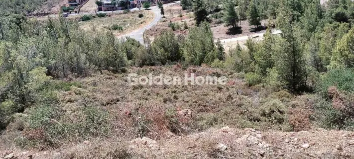 Residential 749m<sup>2</sup> for sale photo 3