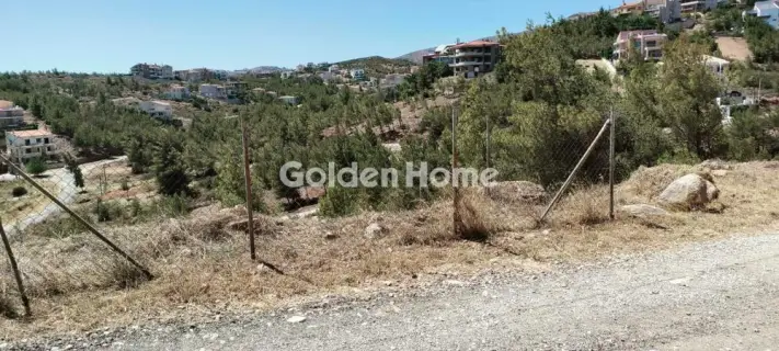 住宅 749m<sup>2</sup> for sale photo 1