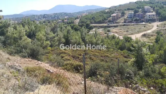 Residential 749m<sup>2</sup> for sale photo 2