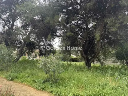 住宅 576m<sup>2</sup> for sale photo 1