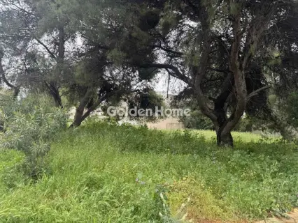 住宅 576m<sup>2</sup> for sale photo 2